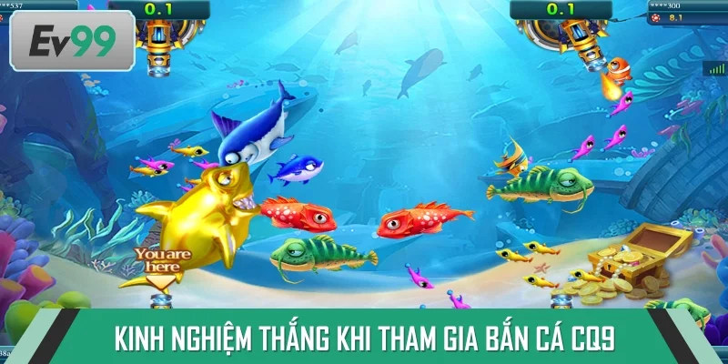 Tham khảo kinh nghiệm chiến thắng dễ dàng
