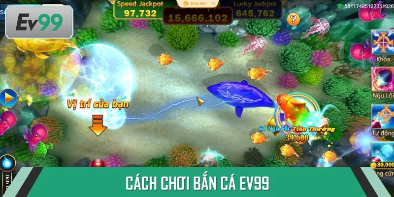 Hướng dẫn từng thao tác chơi bắn cá trên nhà cái