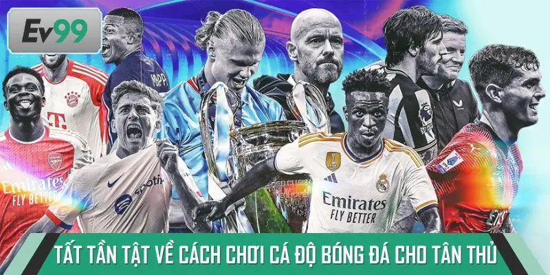 Tất tần tật về cách chơi cá độ bóng đá cho tân thủ