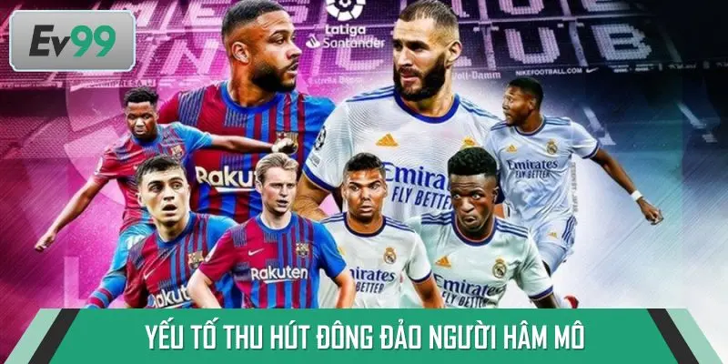 Yếu tố khiến cá độ bóng đá thu hút đông đảo người dùng