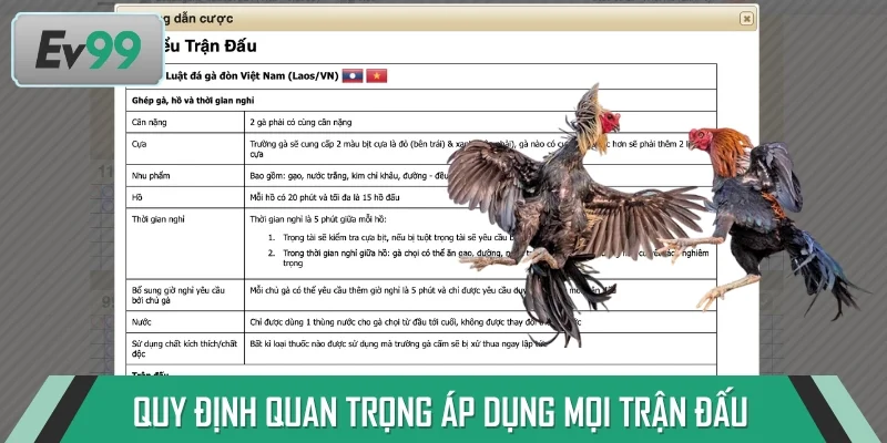 Vấn đề cân nặng chênh lệch được chú trọng