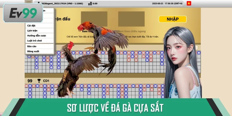 Đá gà cựa sắt có nhịp độ trận đấu cực nhanh