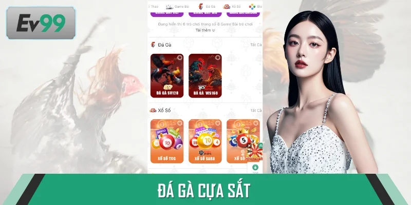 Đá Gà Cựa Sắt - Cuộc Chiến Tốc Độ Từng Giây Từng Phút