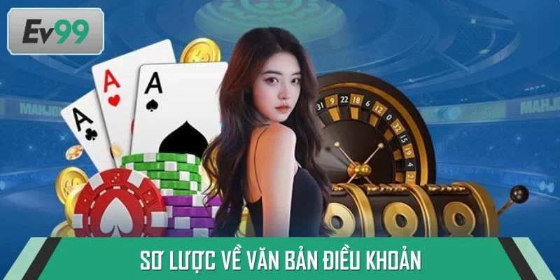 Sơ lược về văn bản điều khoản