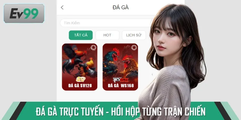 Đá gà EV99 mang đến cho kê thủ một không gian giải trí sống động