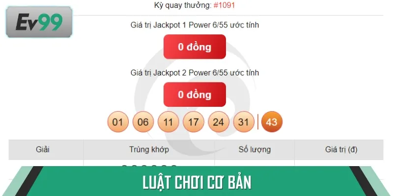 Luật chơi cơ bản người mới cần ghi nhớ trước khi bắt đầu